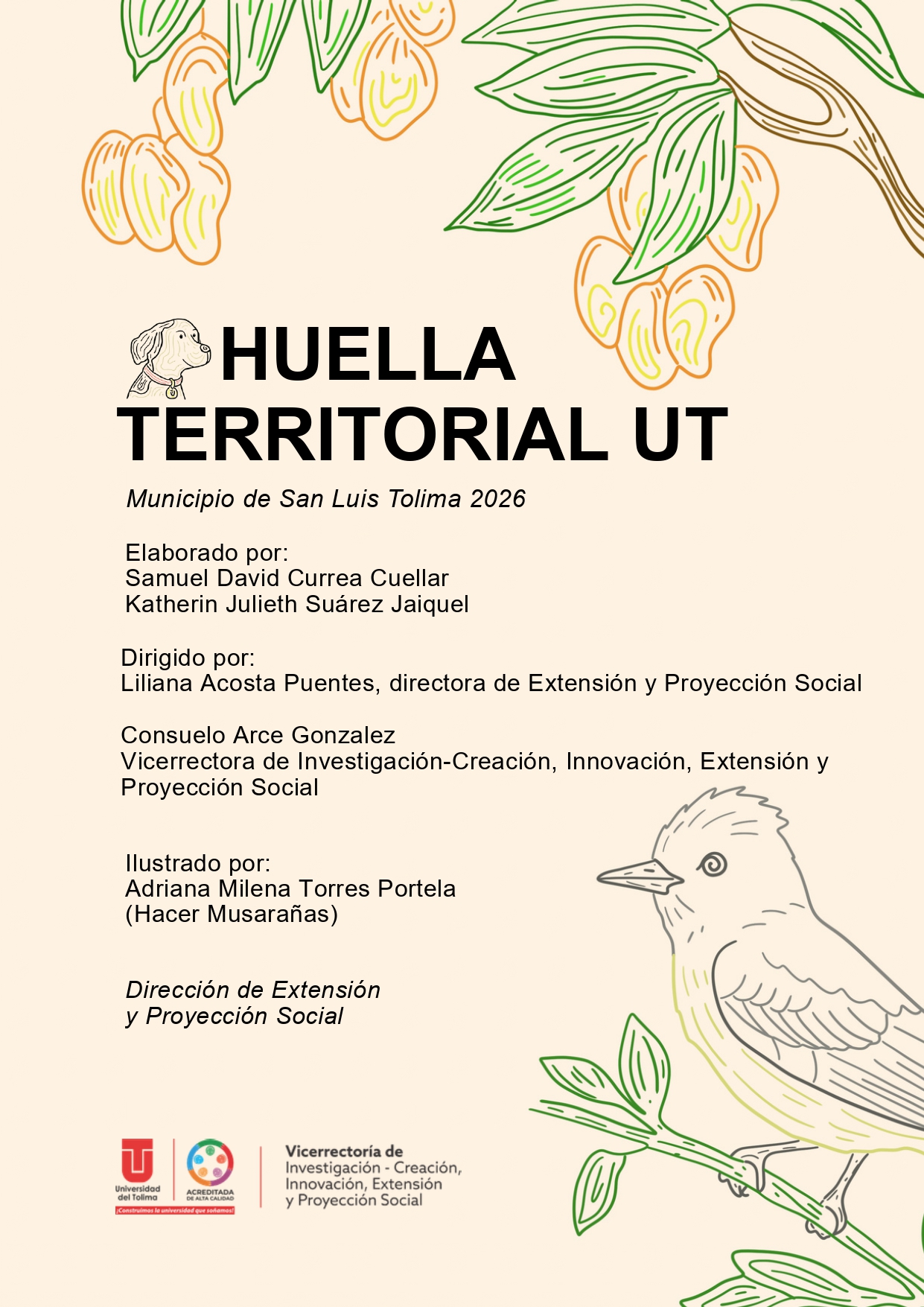 Descargar PDF Municipio San Luis